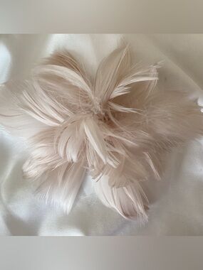 Petite Baby blush light pink feather Fascinator Hair clip. Hat clip